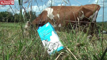 APLM : pâturage et lait de montagne avec «Mont Lait»