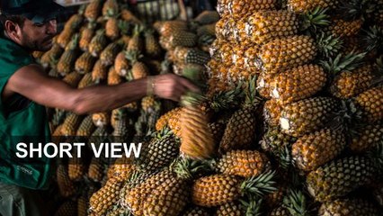 Emerging markets rally after Brexit