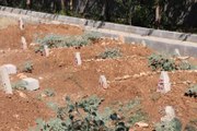 56 PKK'lının Cenazesi Kimsesizler Mezarlığına Gömüldü