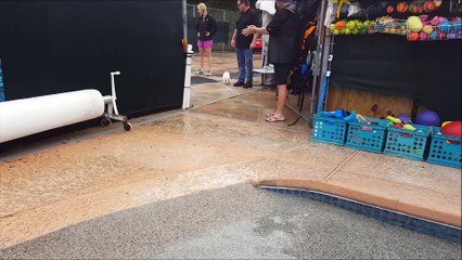 5 week old retriever puppies swim for first time !