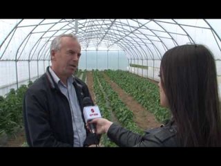 Lajme - Fshati Firajë - Komuna Gjakovë