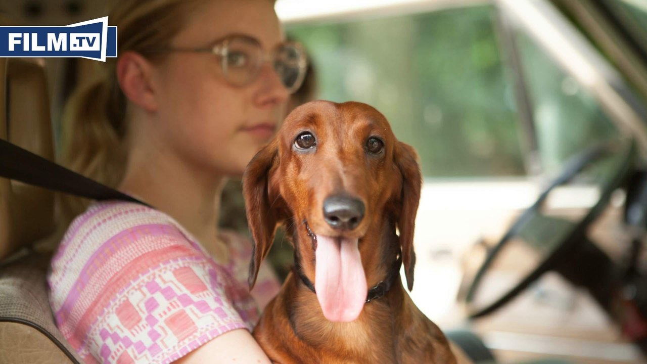 WIENER DOG Trailer German Deutsch (2016) HD