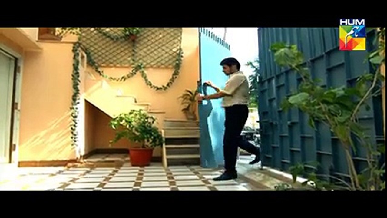 Zara Yaad Kar Episode 18 in HD on Hum Tv in High Quality 12th July 2016