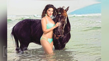 Sunny Leone Manforce Condom Calendar 2016