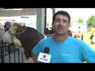 Lajme - Panairi i Gjedhit në Gjakovë