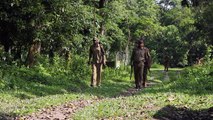 L’Inde peine à protéger ses rhinocéros face aux braconniers