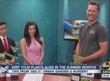 Dig it Urban Garden and Nursery shows viewers how to keep plants healthy in the summer