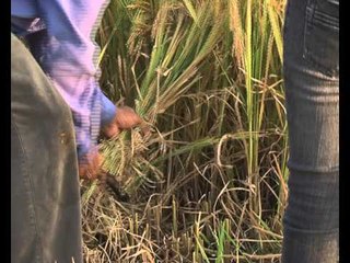 Love Bus tap 201   Nhung lan song moi   Phan 1