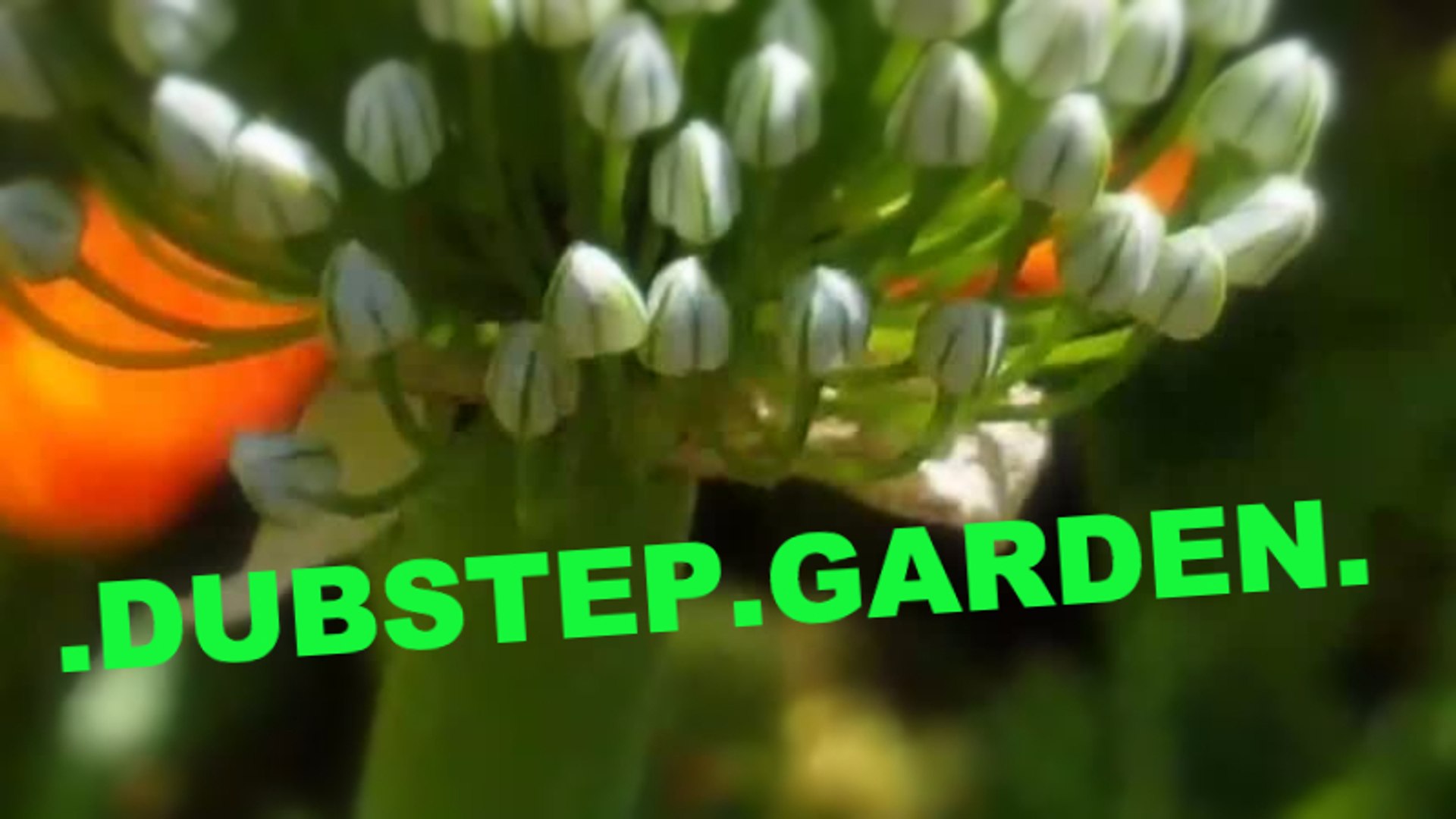 ⁣Dubstep Garden