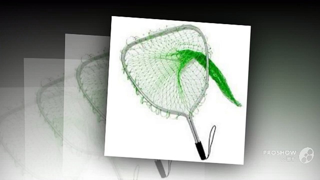 Four Important tools required for lobster hunting