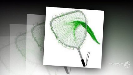 Four Important tools required for lobster hunting