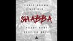 Chris Brown ft. Wiz Kid, Hoody Baby & Section Boyz - Shabba
