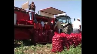 Amazing agriculture technology, modern harvest machine, modern agriculture compilation 2016