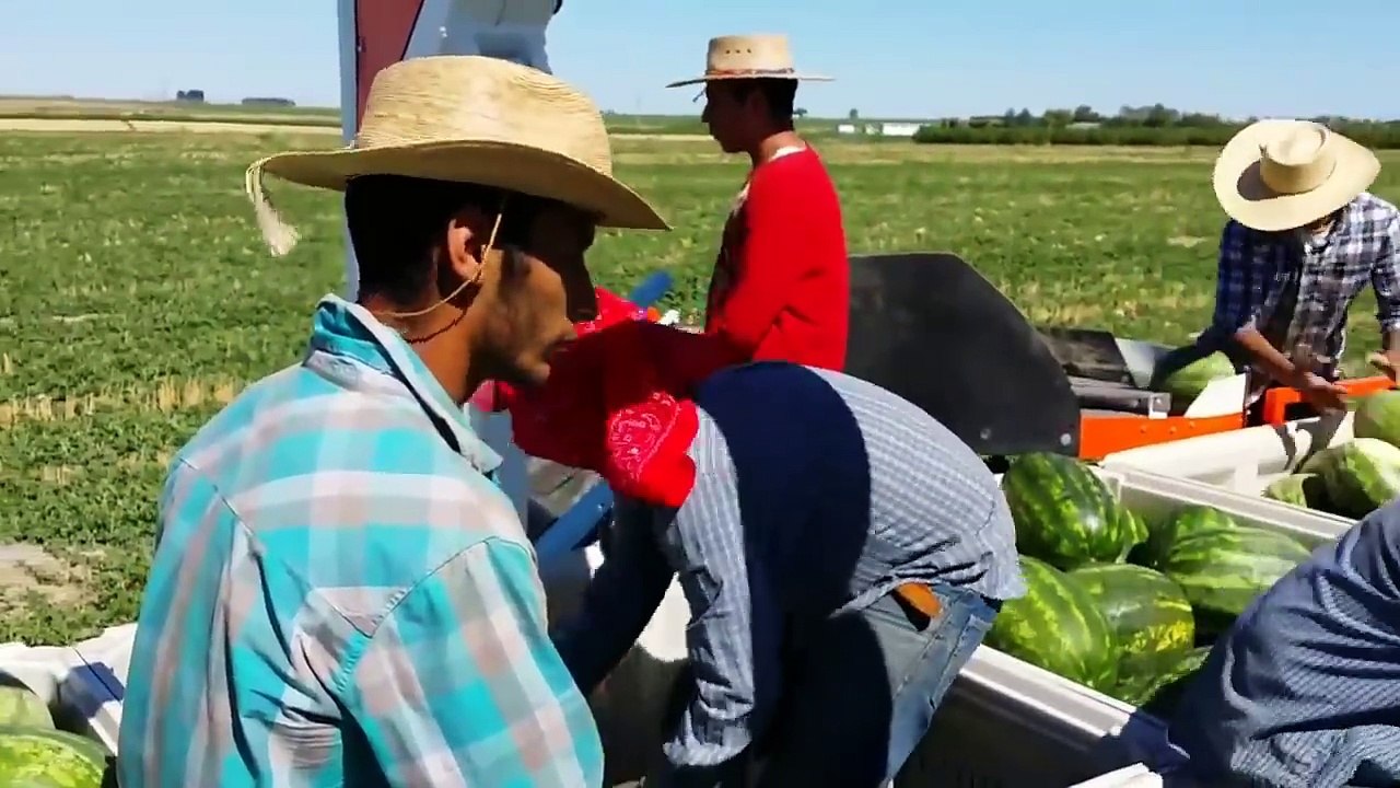 smart farming technologies, new invention of modern agriculture equipment compilation in the world