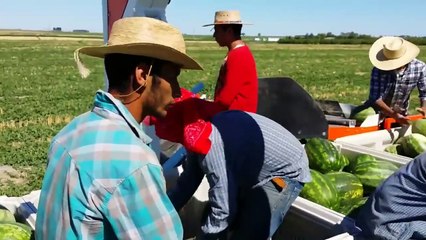 smart farming technologies, new invention of modern agriculture equipment compilation in the world