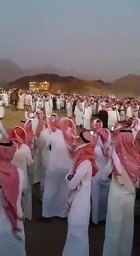 arbifigrini funny videoclips