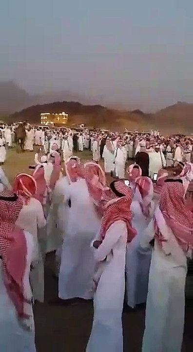 arbifigrini funny videoclips