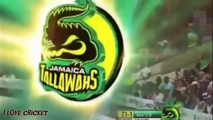 Craziest and wildest wicket-taking celebrations