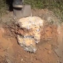 What does an anthill look like on the inside