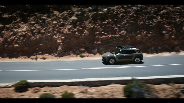 Citroën C4 Cactus Rip Curl - Diseño