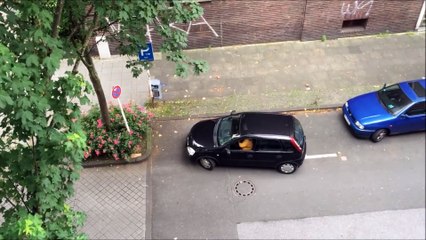 Elle n'est vraiment pas la reine du créneau...