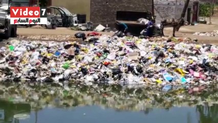 بالفيديو..القمامة تحاصر محافظة أسيوط ومطالب بمنظومة جيدة للقضاء عليها