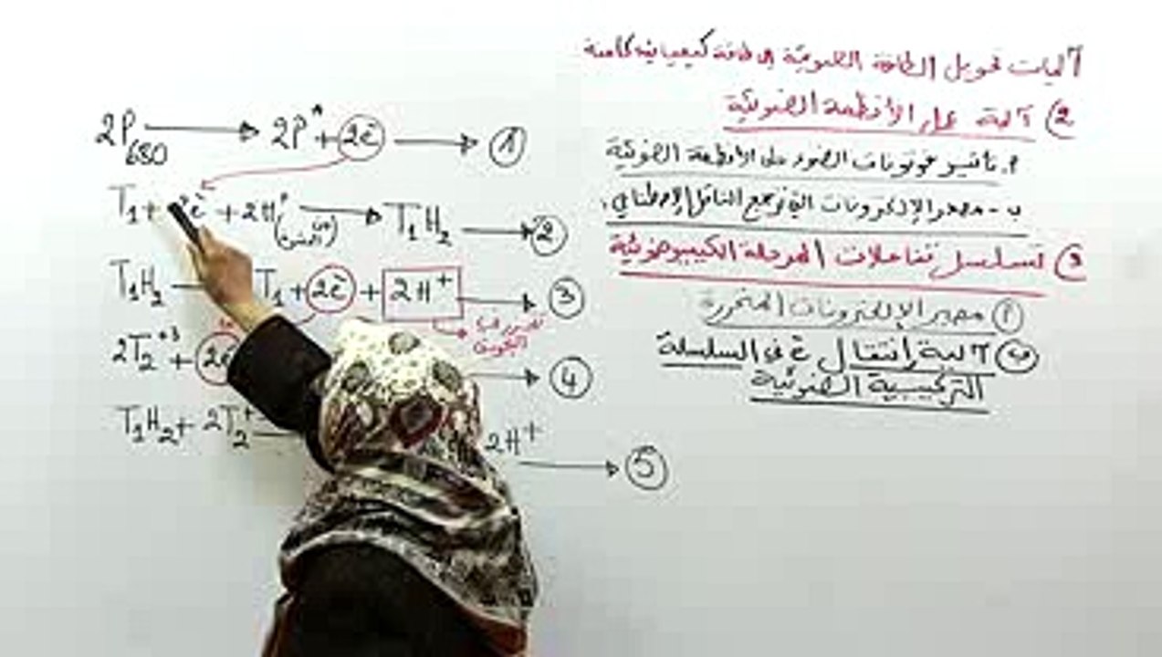 تسلسل تفاعلات المرحلة الكيميوضوئية 2