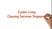 Post Renovation Cleaning Services - Eunike Living