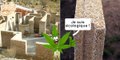 Nos maisons pourraient bientôt être en briques de cannabis