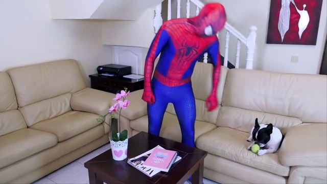 Spiderman and friends Frozen Elsa Spider-Man vs. The Joker movie superhero in real life