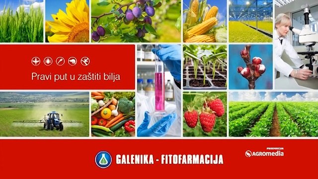 SVET POLJOPRIVREDE 448