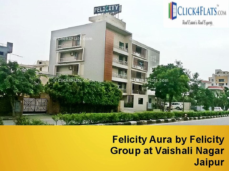 Felicity group