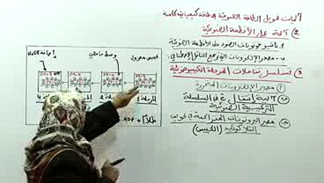 تسلسل تفاعلات المرحلة الكيميوضوئية 3