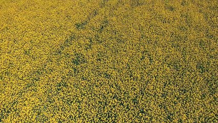 MES MEILLEURES VIDÉOS AU DRONE !