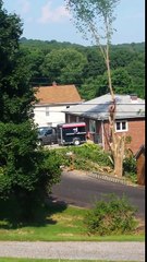 Un bûcheron se fait éjecter violemment d'un arbre !