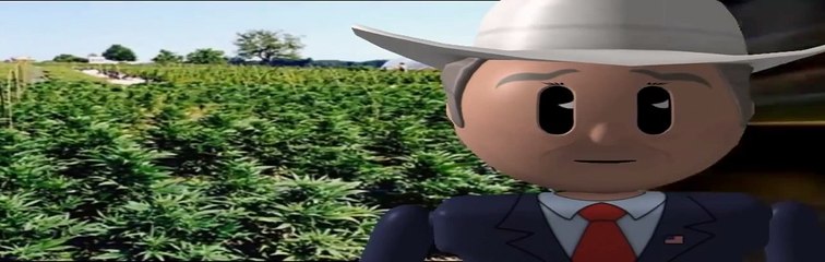 How to Make Rick Simpson's Hemp Oil
