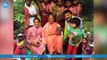 Tollywood Celeb's At Haritha Haram Program || Chiranjeevi || Nagarjuna || Regina || Raashi Khanna
