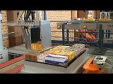 Italian Collaborated Demo Video for Fully Automatic Robotic Pallet Machine (From Sheikh Khajoo Bhai & Co Karachi Pakista