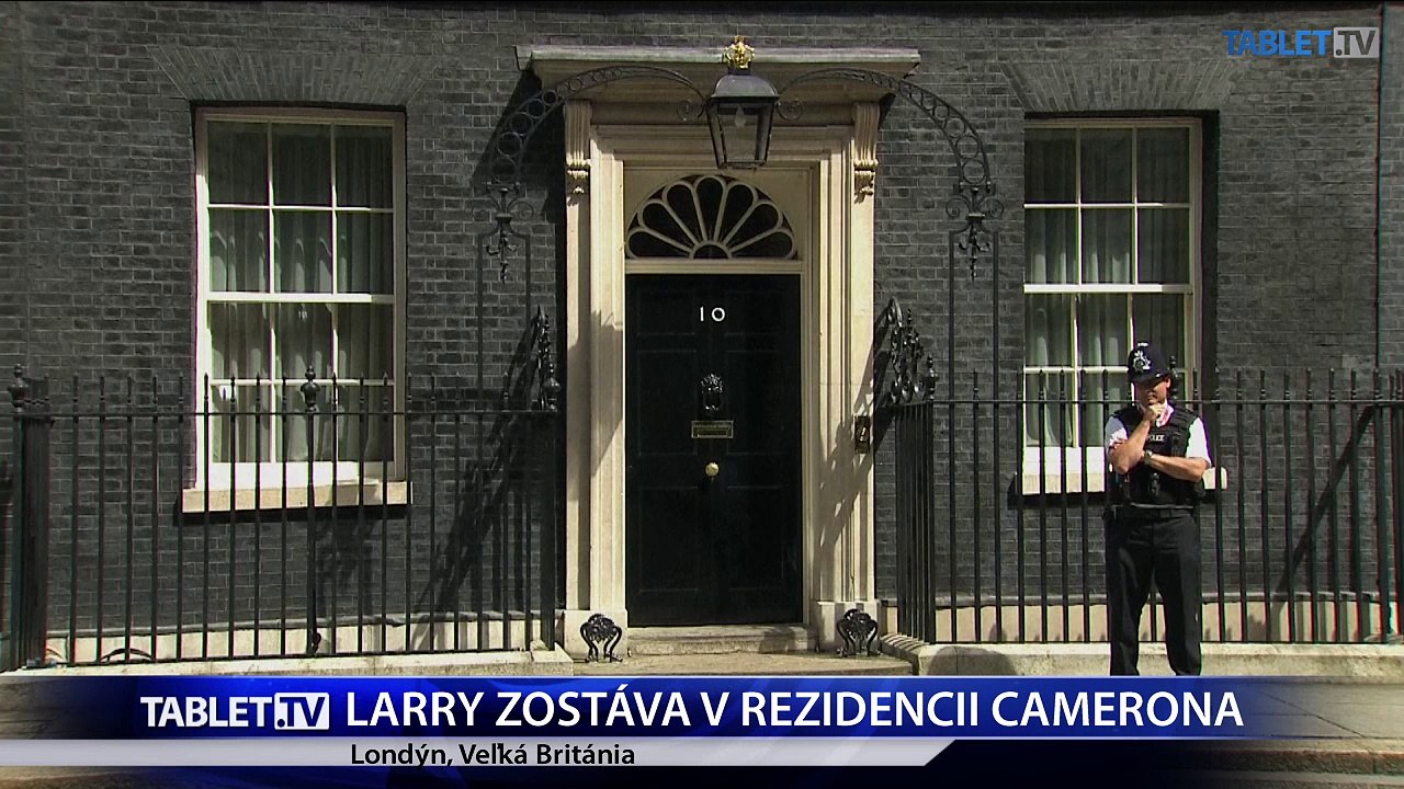 PREVRÁTIL KABÁT: Cameron odchádza, jeho kocúr ostáva na Downing Street