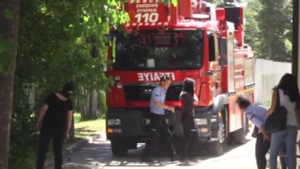 Ağaçtan Kedi Kurtarma Operasyonu