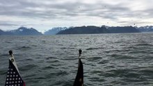 Il remarque que les oiseaux deviennent de plus en plus nombreux au-dessus de sa tête, mais quand ceci sort de l'eau, il