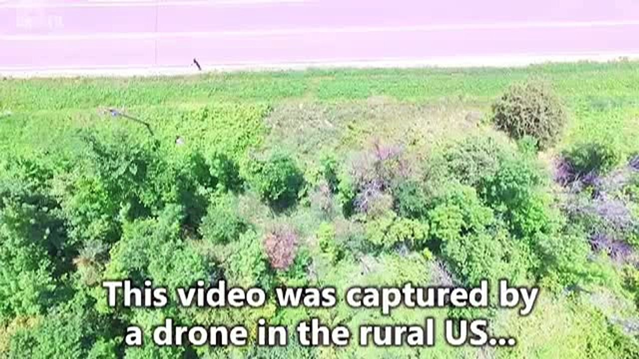 Teleportation Caught on CCTV Camera - Bird Disappears Caught on Tape - ΣΟΚ!!ΤΗΛΕΜΕΤΑΦΟΡΑ ΜΥΣΤΗΡΙΩΔΟΥΣ ΠΟΥΛΙΟΥ!