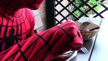 Spiderman & Frozen Elsa & Doctor Zombie - Superheroes in Real Life & Sick Spider