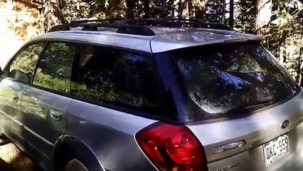 Personne ne sait comment cet ours brun a réussi et à rentrer dans la voiture et à s'enfermer à l'intérieur