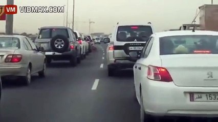 Pet Tiger Roaming Free Between Cars On The Roads Of Qatar