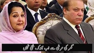 comedy song on nawaz sharif prime minister of pakistan.