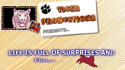 Life is Full of Surprises and Funny Moments that make you Laugh - Funny Compilation