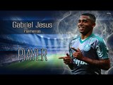 Gabriel Jesus ● The New Neymar ● Amazing Skills & Goals 2016 | HD