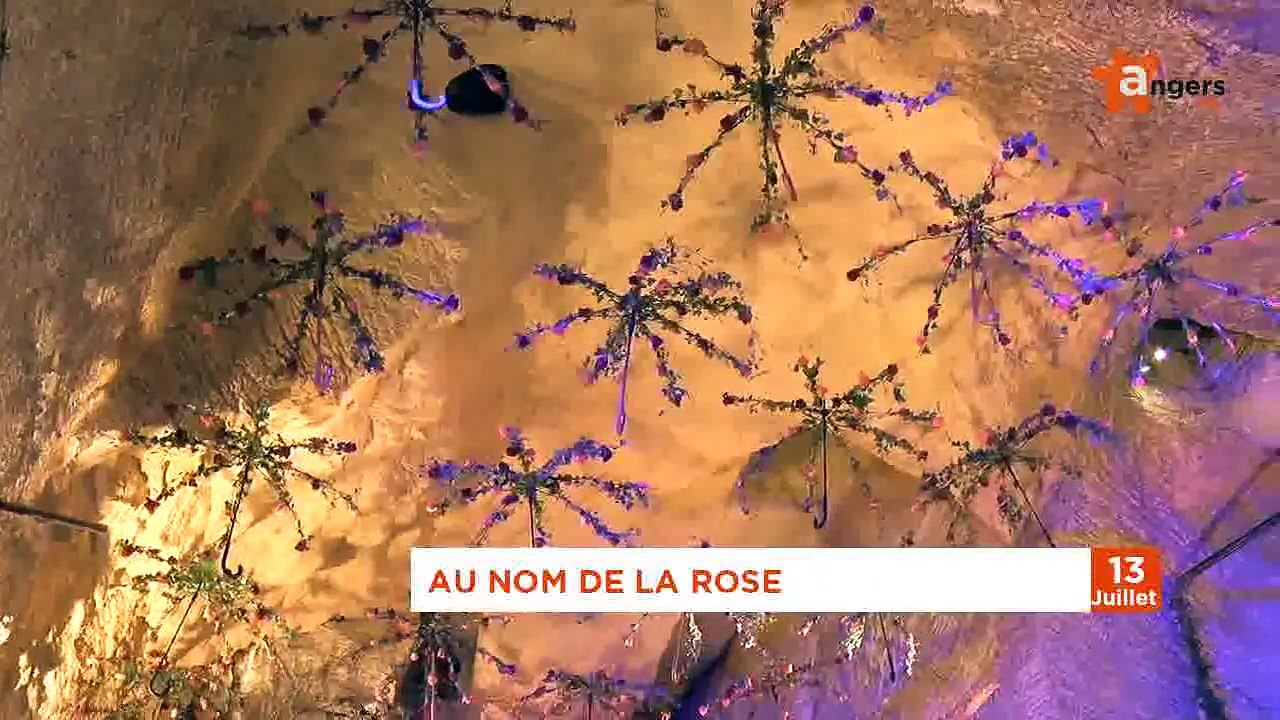 JT JUILLET 2016 [S.7] [E.13] - Le Journal du mercredi 13 juillet 2016