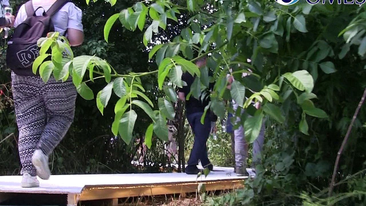 Electric Castle 2016 - ZIUA 0